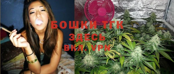 сатива Абинск