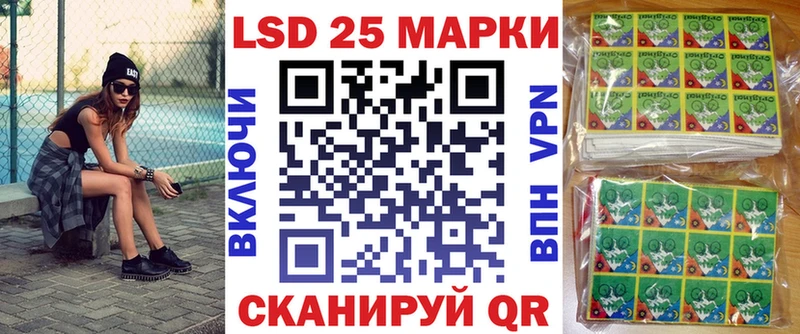 Марки N-bome 1500мкг  где можно купить   Кедровый 